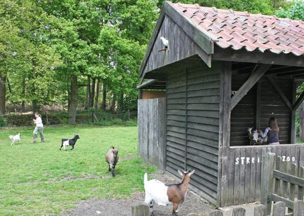 Land Gut Hotel Ritter Stadtlohn Bagian luar foto